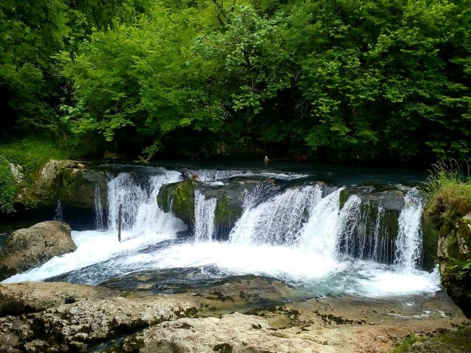 სალხინოს ბუნება